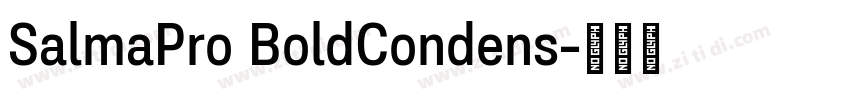 SalmaPro BoldCondens字体转换 SalmaPro BoldCondens字体转换